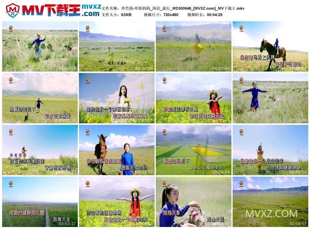 冷竹韵-草原妈妈_国语_流行_MD300948